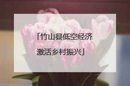 竹山县低空经济激活乡村振兴