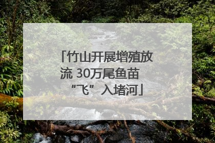 竹山开展增殖放流 30万尾鱼苗“飞”入堵河