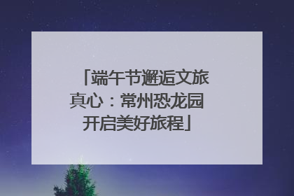 端午节邂逅文旅真心：常州恐龙园开启美好旅程