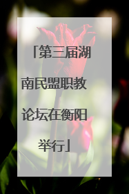 第三届湖南民盟职教论坛在衡阳举行