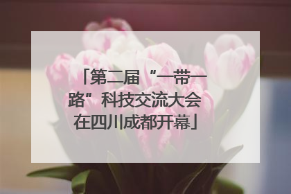 第二届“一带一路”科技交流大会在四川成都开幕