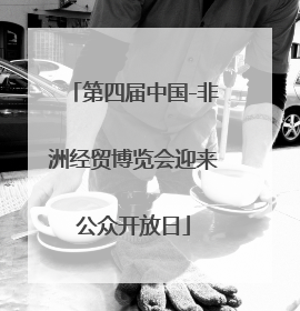 第四届中国-非洲经贸博览会迎来公众开放日