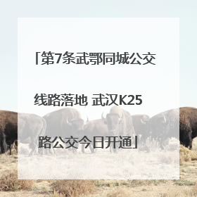 第7条武鄂同城公交线路落地 武汉K25路公交今日开通