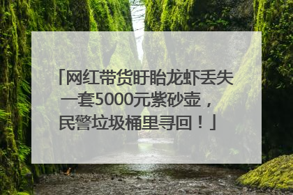 网红带货盱眙龙虾丢失一套5000元紫砂壶，民警垃圾桶里寻回！