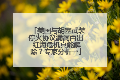 美国与胡塞武装停火协议漏洞百出 红海危机真能解除？专家分析→