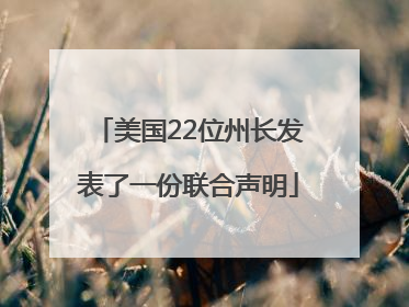 美国22位州长发表了一份联合声明
