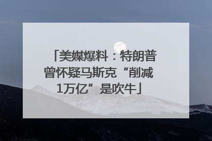 美媒爆料：特朗普曾怀疑马斯克“削减1万亿”是吹牛