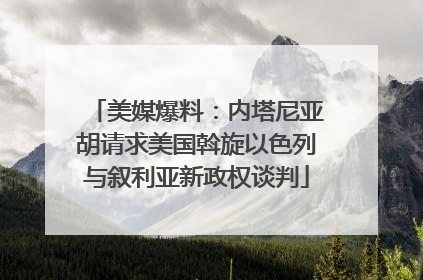美媒爆料：内塔尼亚胡请求美国斡旋以色列与叙利亚新政权谈判