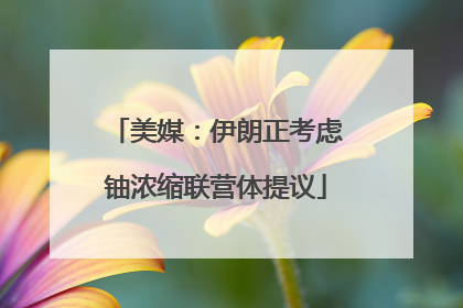 美媒：伊朗正考虑铀浓缩联营体提议