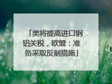 美将提高进口钢铝关税，欧盟：准备采取反制措施