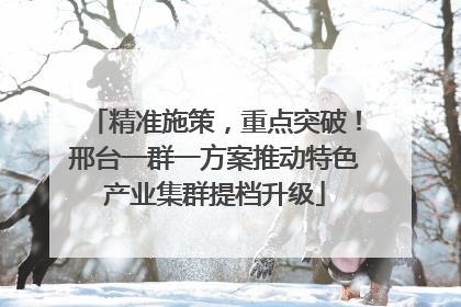 精准施策，重点突破！邢台一群一方案推动特色产业集群提档升级