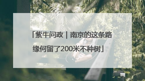 紫牛问政｜南京的这条路缘何留了200米不种树