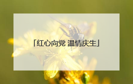 红心向党 温情庆生