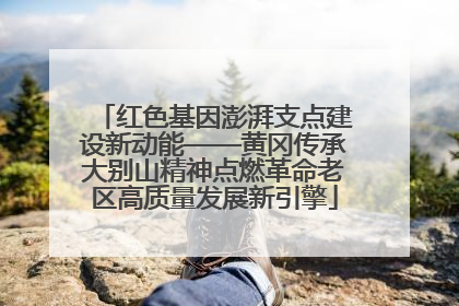 红色基因澎湃支点建设新动能——黄冈传承大别山精神点燃革命老区高质量发展新引擎