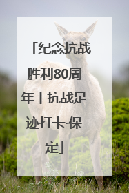 纪念抗战胜利80周年丨抗战足迹打卡·保定