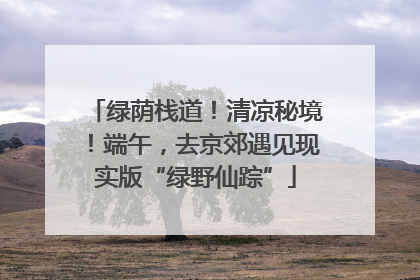 绿荫栈道！清凉秘境！端午，去京郊遇见现实版“绿野仙踪”