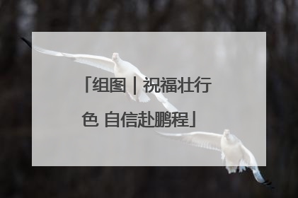 组图｜祝福壮行色 自信赴鹏程