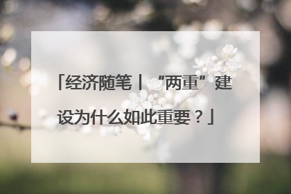 经济随笔丨“两重”建设为什么如此重要？
