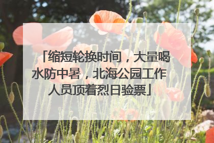 缩短轮换时间，大量喝水防中暑，北海公园工作人员顶着烈日验票
