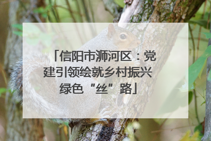 信阳市浉河区：党建引领绘就乡村振兴绿色“丝”路