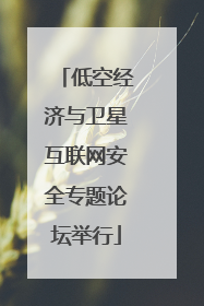 低空经济与卫星互联网安全专题论坛举行