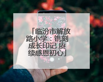 临汾市解放路小学：镌刻成长印记 赓续感恩初心