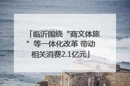 临沂围绕“商文体旅”等一体化改革 带动相关消费2.1亿元
