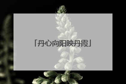 丹心向阳映丹霞