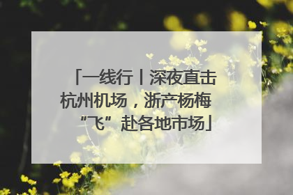 一线行丨深夜直击杭州机场，浙产杨梅“飞”赴各地市场