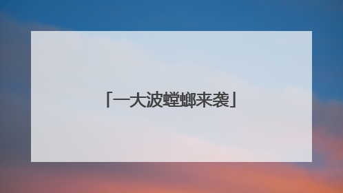 一大波螳螂来袭
