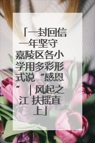 一封回信一年坚守 嘉陵区各小学用多彩形式说“感恩”｜风起之江 扶摇直上