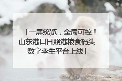 一屏统览，全局可控！山东港口日照港粮食码头数字孪生平台上线