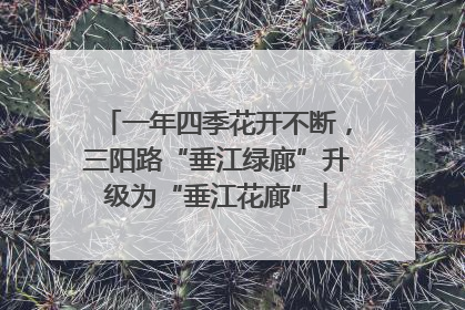 一年四季花开不断，三阳路“垂江绿廊”升级为“垂江花廊”