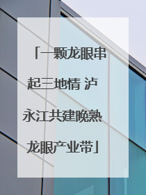 一颗龙眼串起三地情 泸永江共建晚熟龙眼产业带