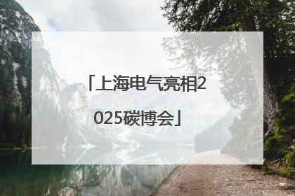 上海电气亮相2025碳博会