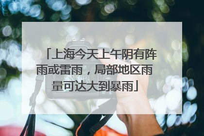 上海今天上午阴有阵雨或雷雨，局部地区雨量可达大到暴雨