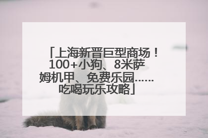 上海新晋巨型商场！100+小狗、8米萨姆机甲、免费乐园……吃喝玩乐攻略