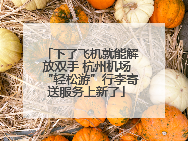 下了飞机就能解放双手 杭州机场“轻松游”行李寄送服务上新了