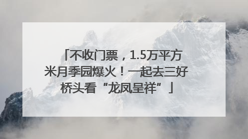 不收门票，1.5万平方米月季园爆火！一起去三好桥头看“龙凤呈祥”