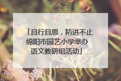 且行且思，精进不止 绵阳市园艺小学举办语文教研组活动