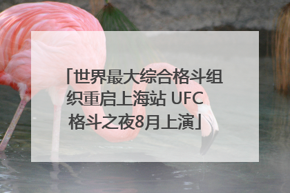 世界最大综合格斗组织重启上海站 UFC格斗之夜8月上演