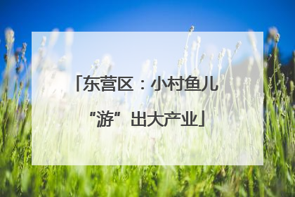 东营区：小村鱼儿“游”出大产业