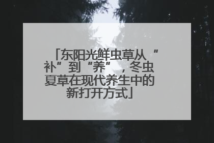 东阳光鲜虫草从“补”到“养”，冬虫夏草在现代养生中的新打开方式
