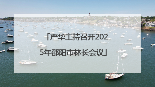 严华主持召开2025年邵阳市林长会议