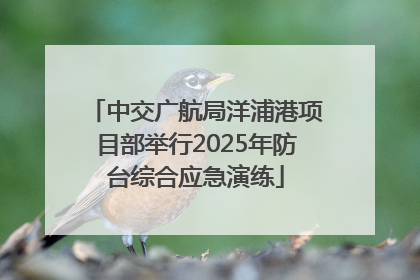 中交广航局洋浦港项目部举行2025年防台综合应急演练