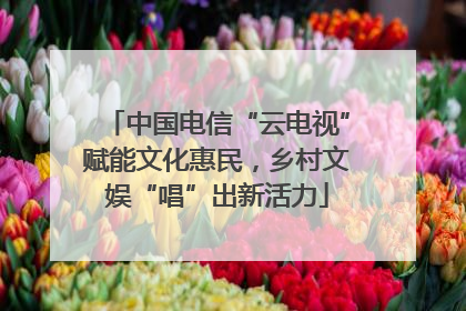 中国电信“云电视”赋能文化惠民，乡村文娱“唱”出新活力