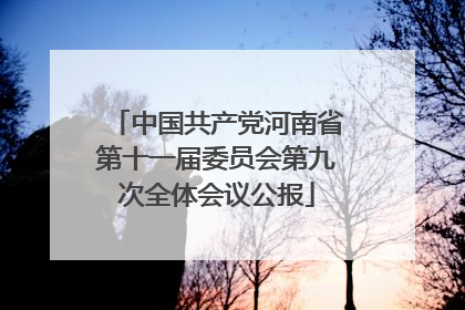 中国共产党河南省第十一届委员会第九次全体会议公报