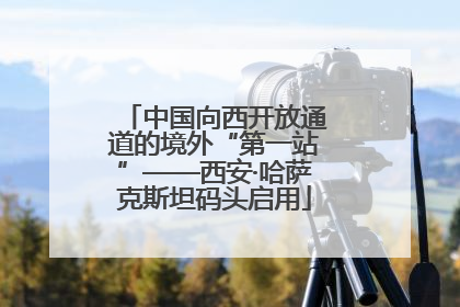 中国向西开放通道的境外“第一站”——西安·哈萨克斯坦码头启用