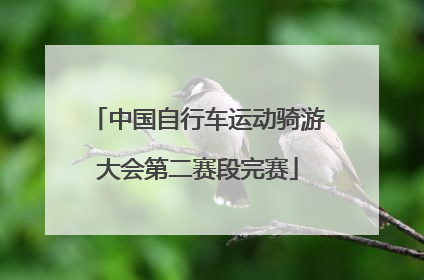 中国自行车运动骑游大会第二赛段完赛