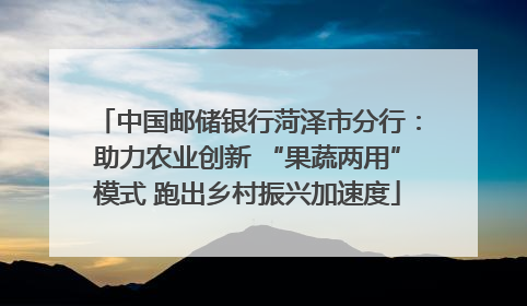 中国邮储银行菏泽市分行：助力农业创新 “果蔬两用”模式 跑出乡村振兴加速度